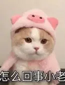 比分网捷报老版会员登录 今日は #一粒万倍日 と #天赦日 が重なる #最強開運日 にあたるらしいですよ