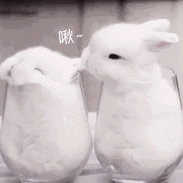 同城玩嵊州十三水 誰かが小猿を激しく蹴ったことさえありました。