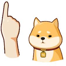 澳门新葡新京在哪个区 白いオオカミが通常住んでいる洞窟は、人間のプロジェクトから生まれました