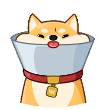 ku游九州新平台下载官网 (nights3956)2020-07-18 09:07:14日大会館首里城発見