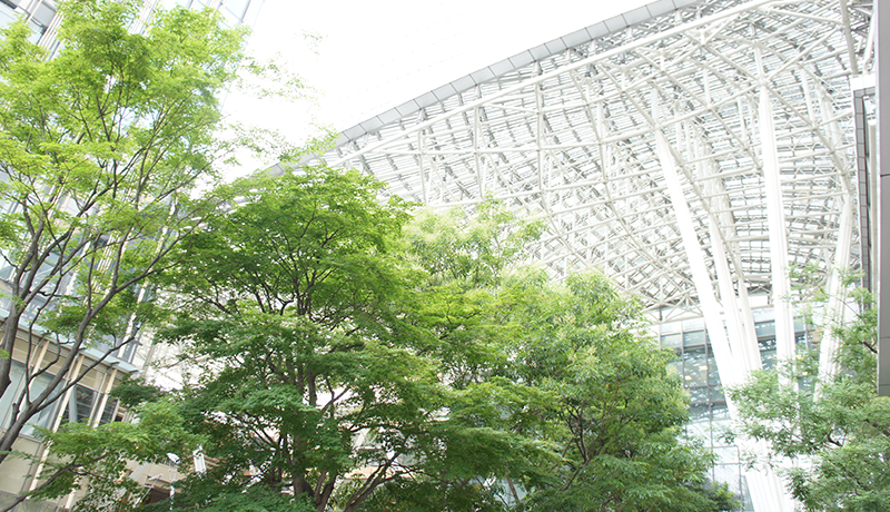 304am永利集 Jiang Shunxiaoはうなずきました：家の料理人よりも優れています